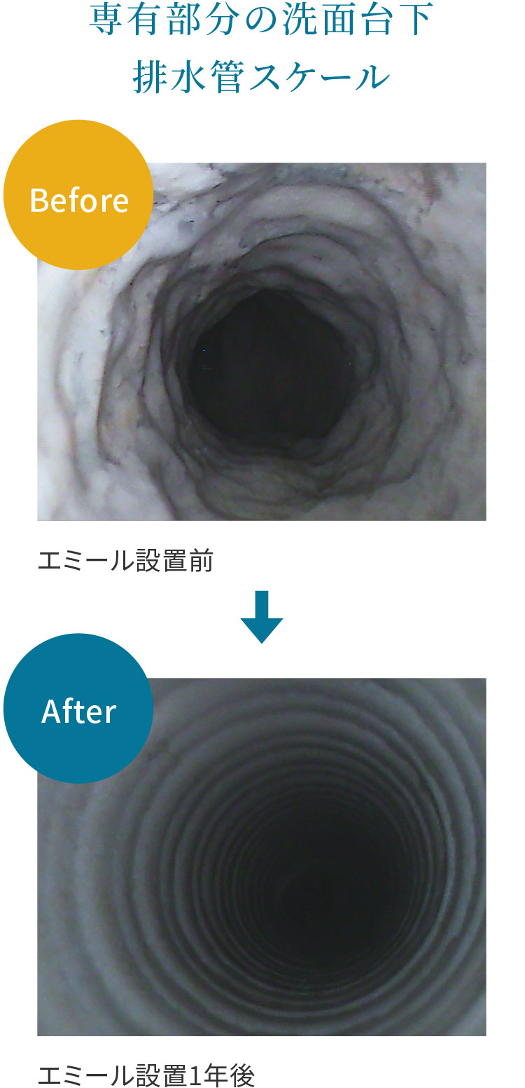 排水改善比較　洗面台下