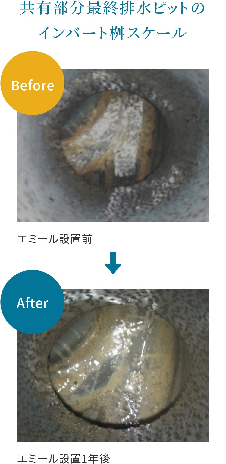 排水改善比較 排水ピット