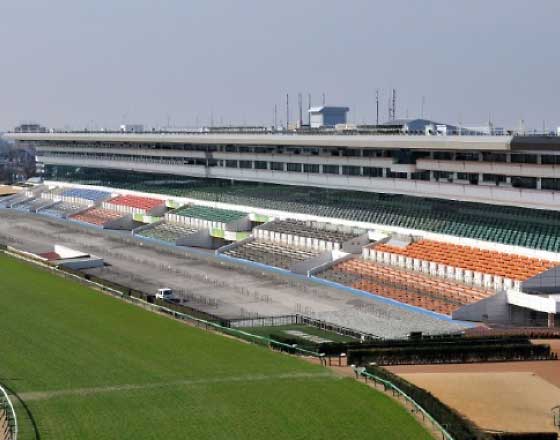 中山競馬場