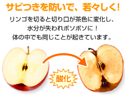 活性酸素を抑制する「抗酸化とは」